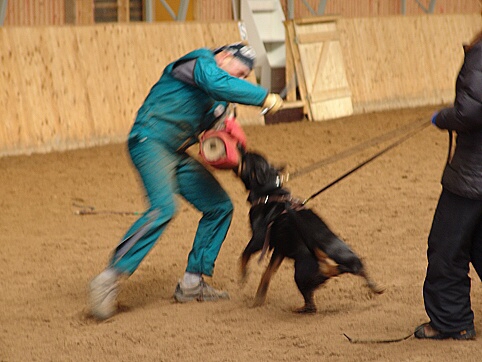 Training in Finland 6.4. - 9.4. 2007